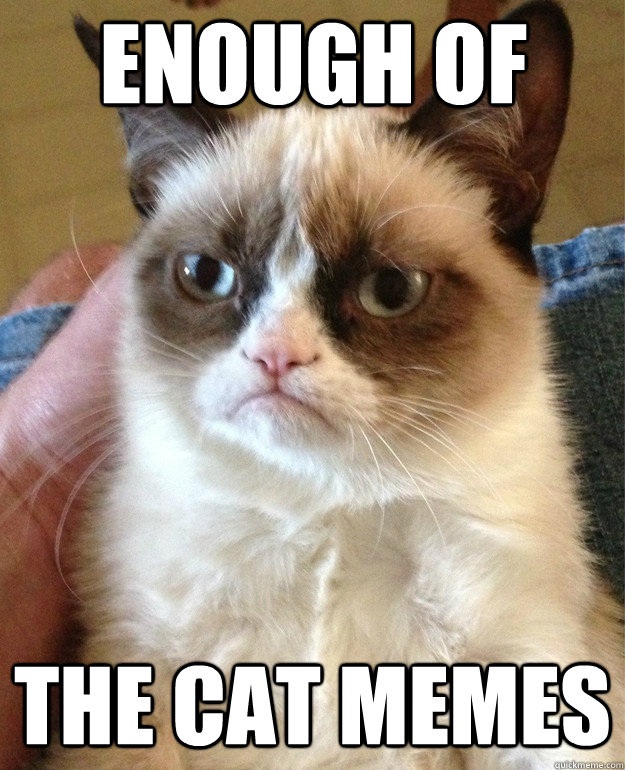 Enough of the cat memes  Grumpy Cat