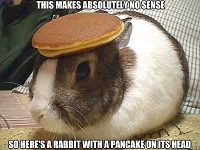 This makes absolutely no sense So here's a rabbit with a pancake on its head - This makes absolutely no sense So here's a rabbit with a pancake on its head  Pancake Rabbit