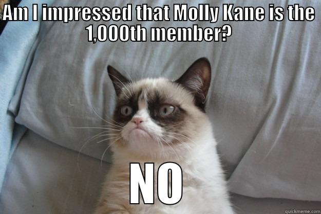 AM I IMPRESSED THAT MOLLY KANE IS THE 1,000TH MEMBER? NO Grumpy Cat