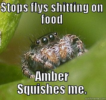 STOPS FLYS SHITTING ON FOOD AMBER SQUISHES ME. Misunderstood Spider