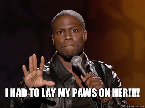  I had to lay my PAWS on her!!!! -  I had to lay my PAWS on her!!!!  Kevin Hart