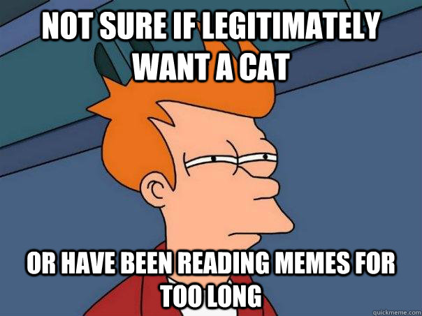 Not sure if legitimately want a cat Or have been reading memes for too long  Futurama Fry