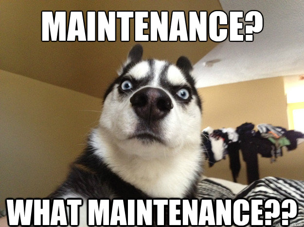 MAINTENANCE? WHAT MAINTENANCE?? - MAINTENANCE? WHAT MAINTENANCE??  U Serious Dog