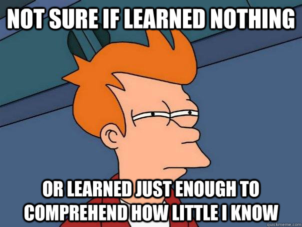 Not sure if learned nothing Or learned just enough to comprehend how little i know  Futurama Fry