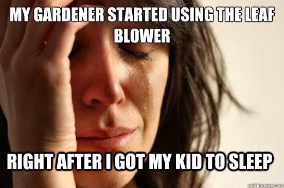 my gardener started using the leaf blower right after i got my kid to sleep - my gardener started using the leaf blower right after i got my kid to sleep  FirstWorldProblems