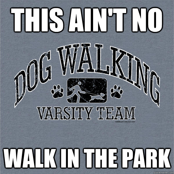 This ain't no Walk in the park - This ain't no Walk in the park  Varsity Dog Walking