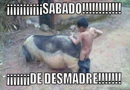 YEAH BABY - ¡¡¡¡¡¡¡¡¡¡¡SABADO!!!!!!!!!!!! ¡¡¡¡¡¡¡DE DESMADRE!!!!!!! Misc