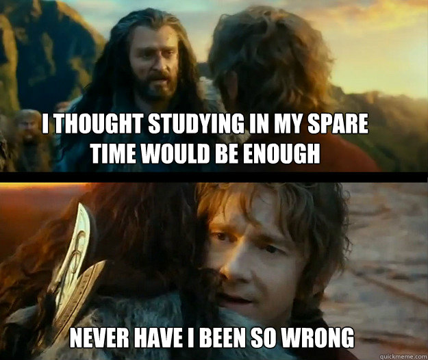 I thought studying in my spare time would be enough Never have I been so wrong - I thought studying in my spare time would be enough Never have I been so wrong  Sudden Change of Heart Thorin