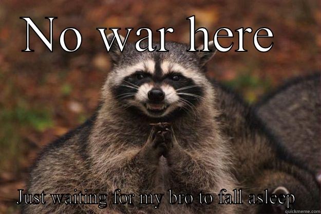 NO WAR HERE  JUST WAITING FOR MY BRO TO FALL ASLEEP  Evil Plotting Raccoon