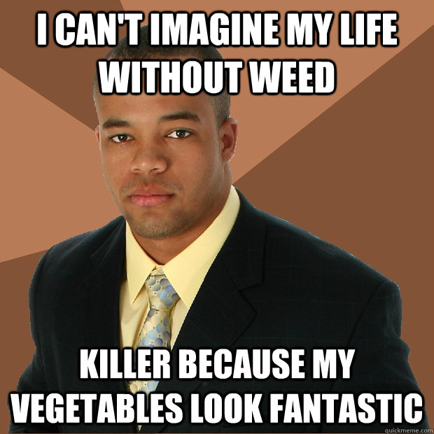 I Can't Imagine my life without weed Killer because my vegetables look fantastic  Successful Black Man