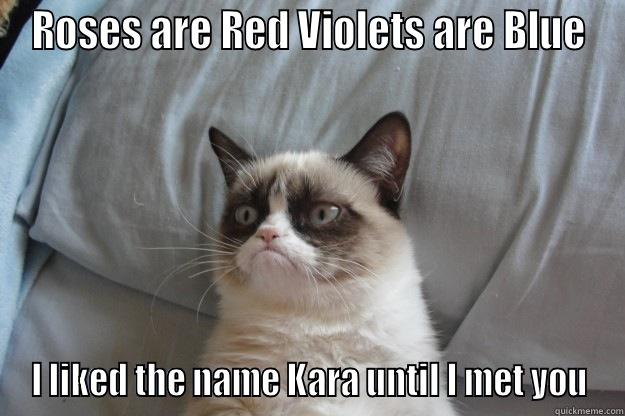 Grumpy Cat meets Kara - ROSES ARE RED VIOLETS ARE BLUE I LIKED THE NAME KARA UNTIL I MET YOU Grumpy Cat