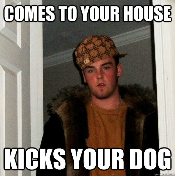 Comes to your house kicks your dog  Scumbag Steve