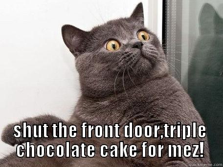  SHUT THE FRONT DOOR,TRIPLE CHOCOLATE CAKE FOR MEZ! conspiracy cat