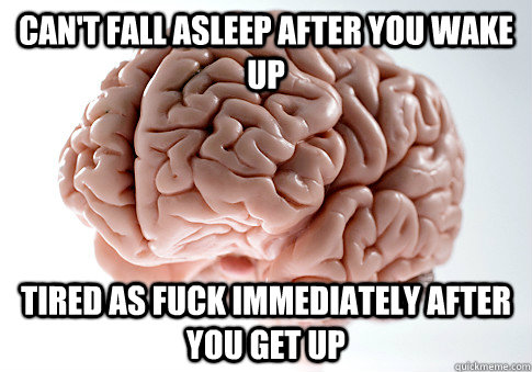 Can't fall asleep after you wake up tired as fuck immediately after you get up  Scumbag Brain