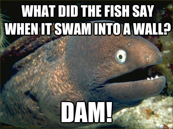 What did the fish say when it swam into a wall? Dam! - What did the fish say when it swam into a wall? Dam!  Bad Joke Eel