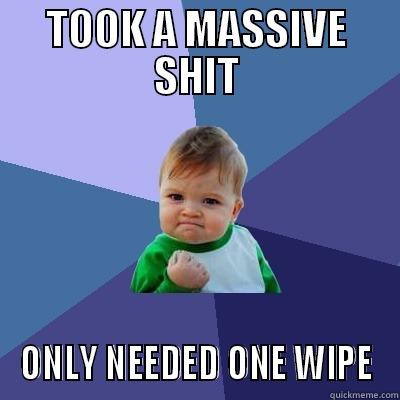 TOOK A MASSIVE SHIT ONLY NEEDED ONE WIPE Success Kid