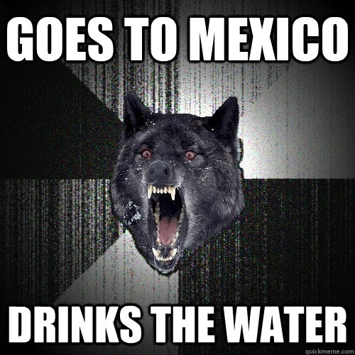 Goes to Mexico Drinks the water  Insanity Wolf