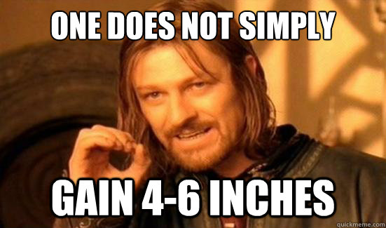 One Does Not Simply Gain 4-6 inches   Boromir