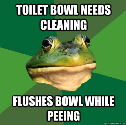 toilet bowl needs cleaning flushes bowl while peeing   Foul Bachelor Frog