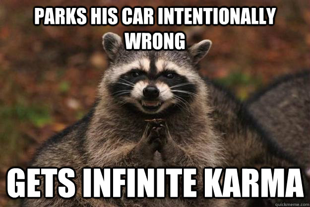 Parks his car intentionally wrong gets infinite karma  Evil Plotting Raccoon