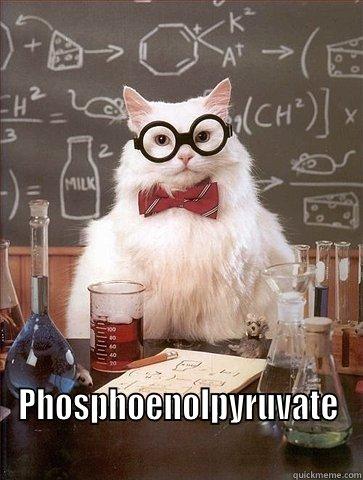  PHOSPHOENOLPYRUVATE Chemistry Cat