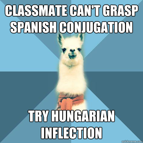 CLASSMATE CAN'T GRASP SPANISH CONJUGATION TRY HUNGARIAN INFLECTION  Linguist Llama