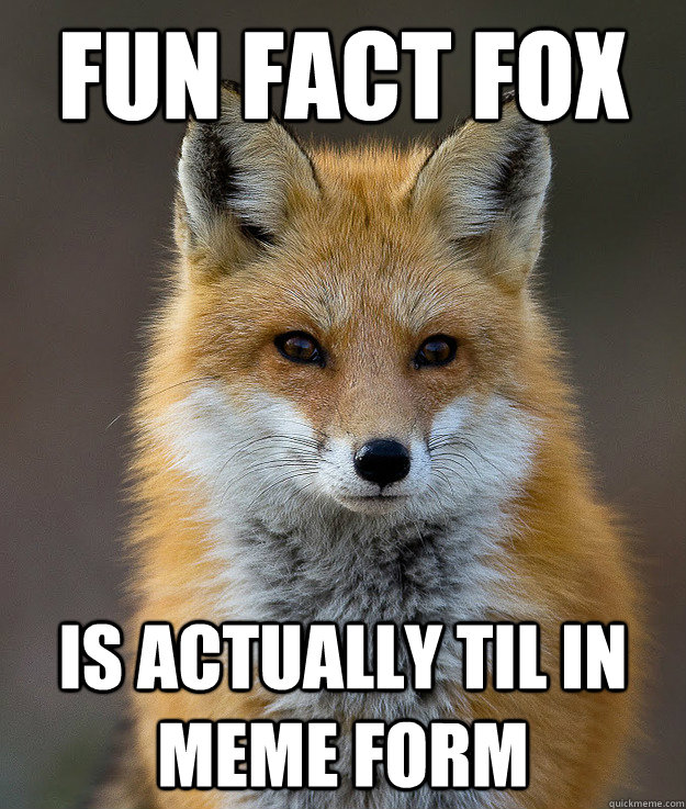 Fun Fact Fox Is actually TIL in meme form  Fun Fact Fox