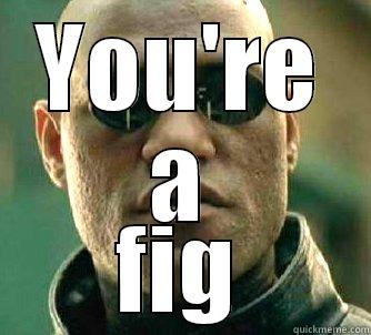 It's now a thing - YOU'RE A FIG Matrix Morpheus