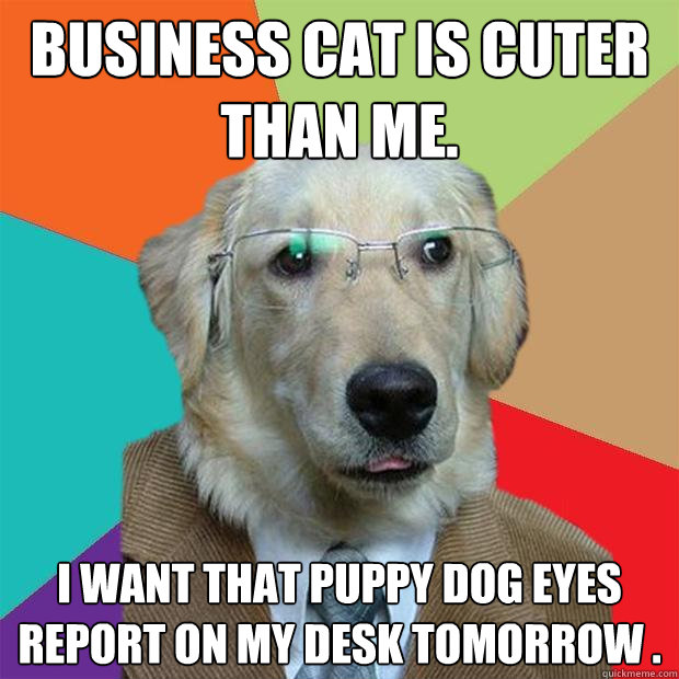 Business cat is cuter than me. I want that puppy dog eyes report on my desk tomorrow .  Business Dog