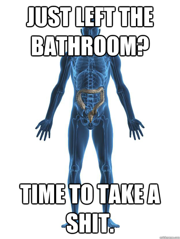 Just left the bathroom? time to take a shit.  Scumbag human body