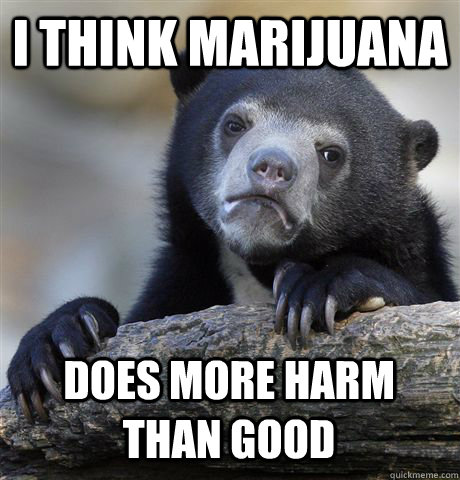 I think marijuana does more harm than good  Confession Bear