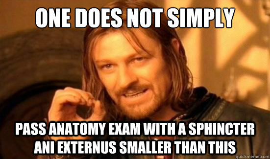 One Does Not Simply pass anatomy exam with a sphincter ani externus smaller than this  Boromir