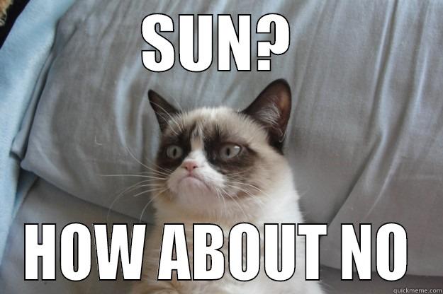 SUN? HOW ABOUT NO Grumpy Cat