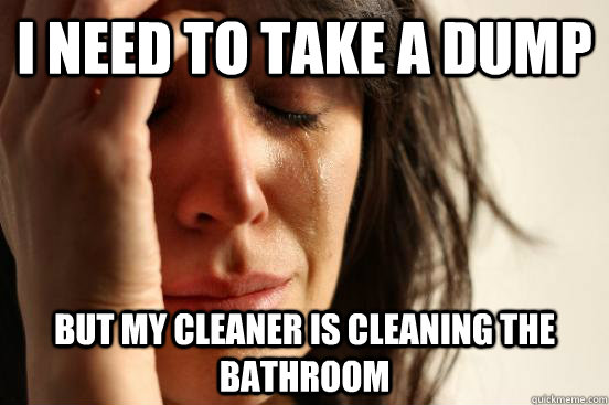 I need to take a dump but my cleaner is cleaning the bathroom  First World Problems