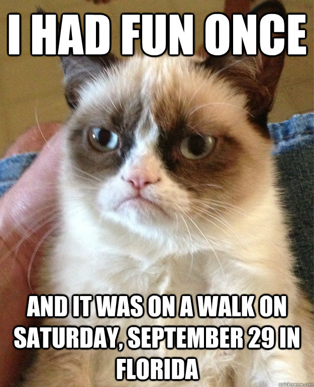 I had fun once and it was on a walk on Saturday, September 29 in Florida   Grumpy Cat