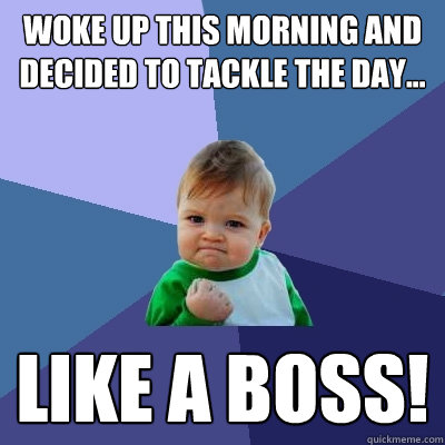 Woke up this morning and decided to tackle the day... like a boss!  Success Kid