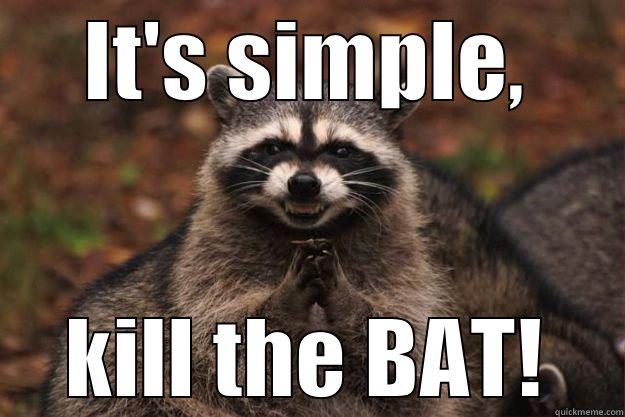 IT'S SIMPLE, KILL THE BAT! Evil Plotting Raccoon