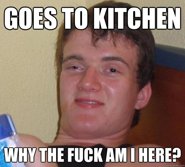 goes to kitchen why the fuck am i here? - goes to kitchen why the fuck am i here?  10 Guy