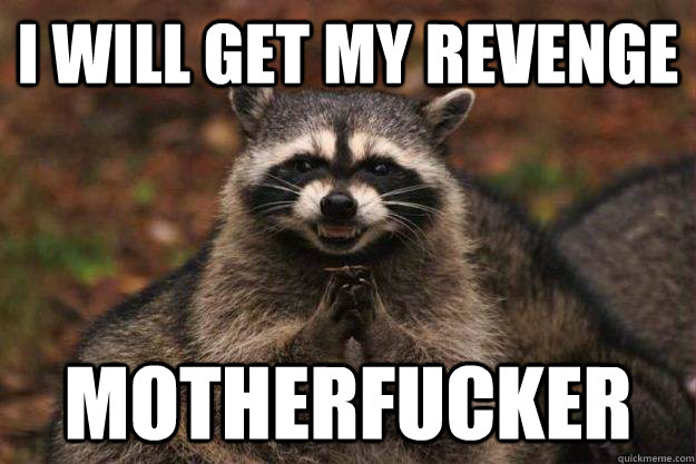 I will get my revenge motherfucker  Evil Plotting Raccoon