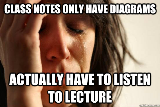 class notes only have diagrams actually have to listen to lecture  First World Problems