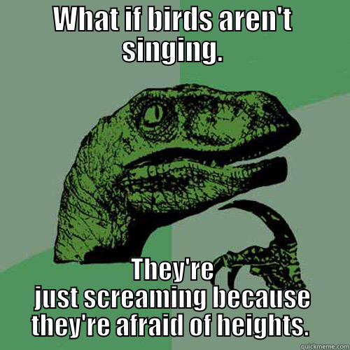 WHAT IF BIRDS AREN'T SINGING. THEY'RE JUST SCREAMING BECAUSE THEY'RE AFRAID OF HEIGHTS.  Philosoraptor