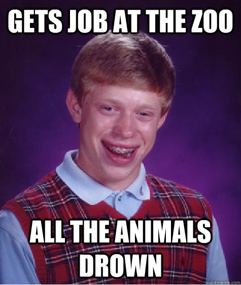 gets job at the zoo all the animals drown  Bad Luck Brian