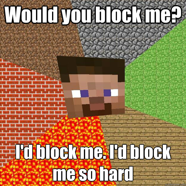 Would you block me? I'd block me. I'd block me so hard - Would you block me? I'd block me. I'd block me so hard  Minecraft