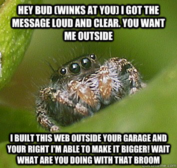 hey bud (winks at you) i got the message loud and clear. you want me outside I built this web outside your garage and your right I'm able to make it bigger! wait what are you doing with that broom  Misunderstood Spider