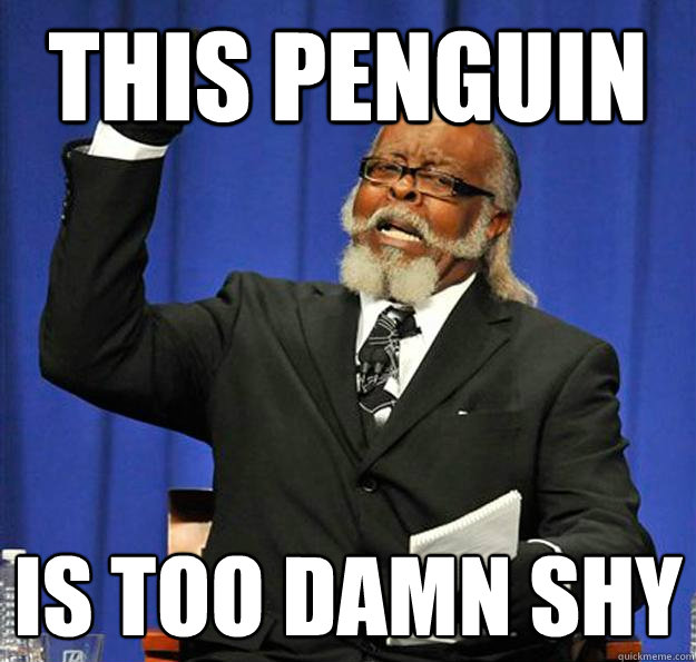 this penguin is too damn shy  Jimmy McMillan