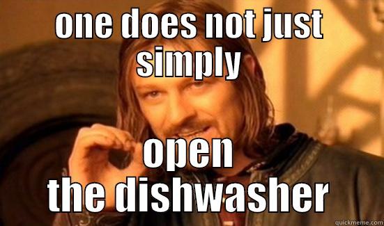 ONE DOES NOT JUST SIMPLY OPEN THE DISHWASHER Boromir