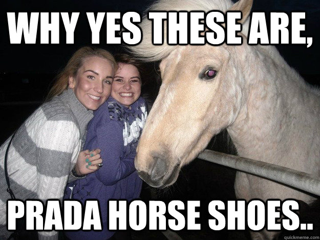 Why yes these are, Prada horse shoes..  Ridiculously Photogenic Horse