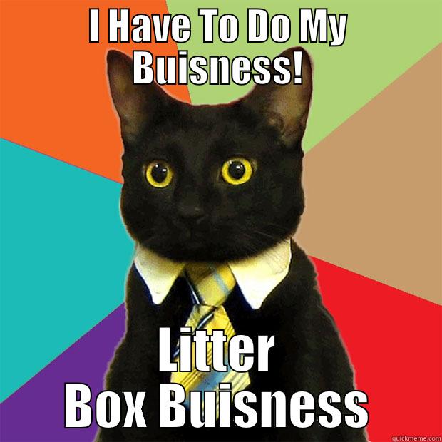 I HAVE TO DO MY BUISNESS! LITTER BOX BUISNESS Business Cat