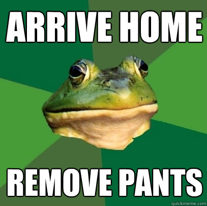 Arrive Home Remove pants - Arrive Home Remove pants  Foul Bachelor Frog