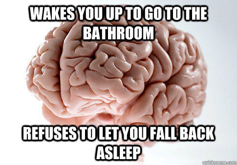 Wakes you up to go to the bathroom Refuses to let you fall back asleep  Scumbag Brain